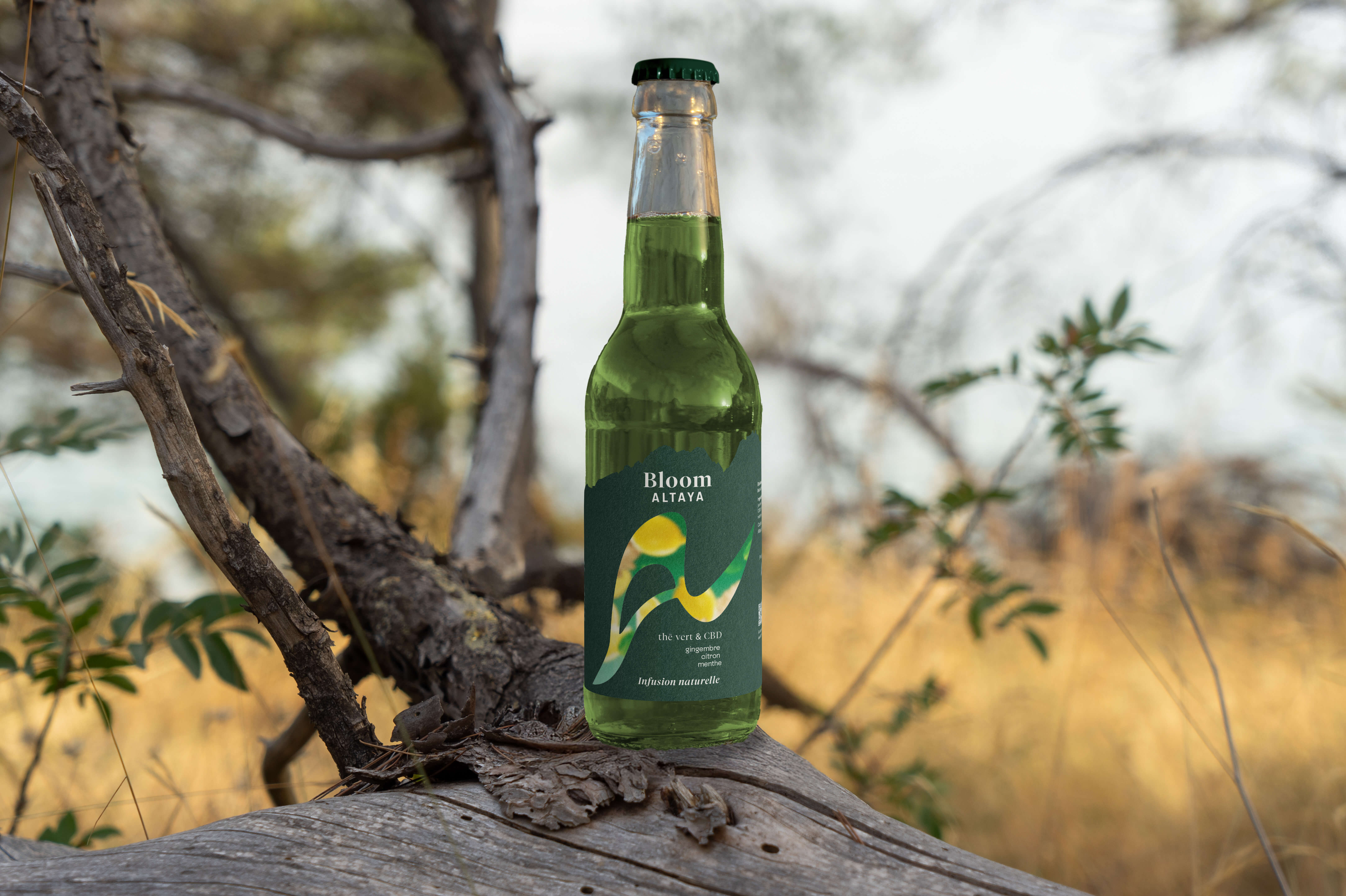 Altaya Packaging